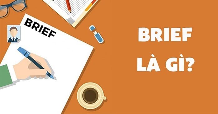 brief-la-gi