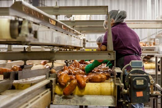 P9 Thumb Manufacturing Production Line Inspection