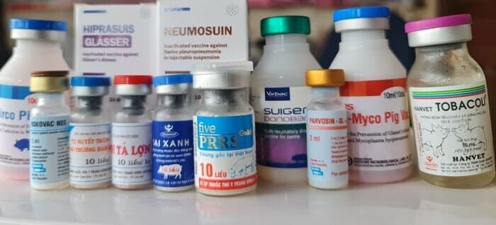 Tìm các nguồn cung cấp thuốc thú y