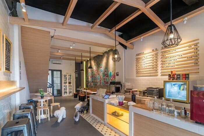 Tiềm năng kinh doanh mô hình cafe thú cưng