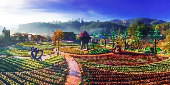 Tiềm năng của kinh doanh ở Đà Lạt