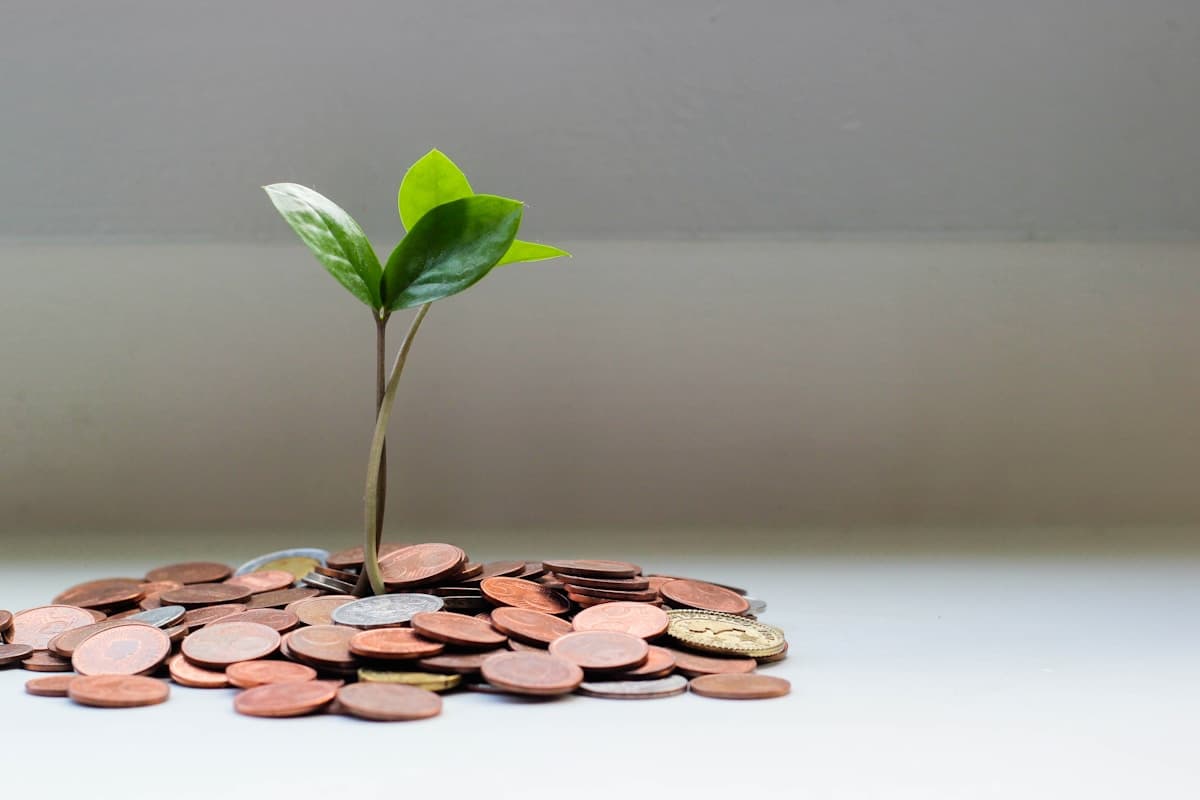 Unique: Money Coins Jar Savings
