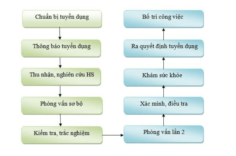 tuyen-dung-nhan-su-cac-buoc