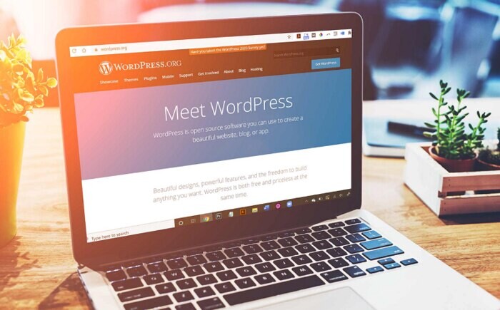Đối tượng của khóa học làm website bằng Wordpress