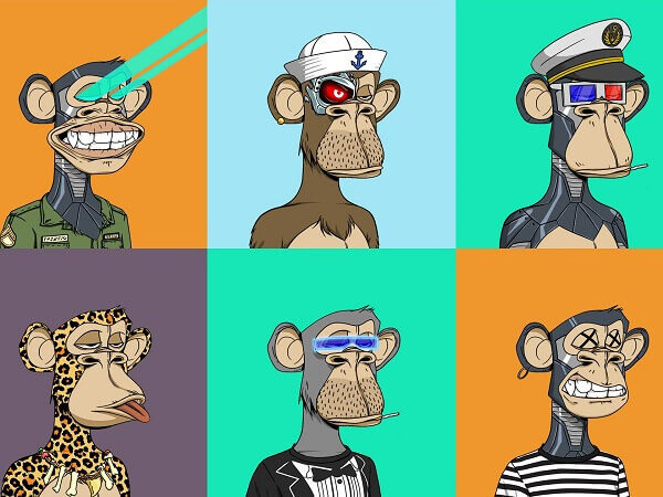 bored-ape-yacht-club