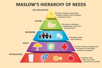 Tháp nhu cầu Maslow – “Sổ tay toàn năng” của doanh nghiệp