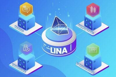 Lina coin – Cơ hội đầu tư hay rủi ro tiềm ẩn năm 2022?