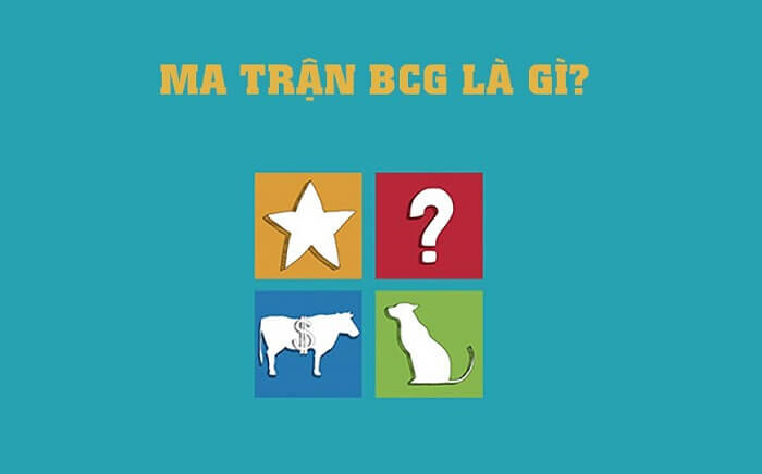 ma-tran-bcg-la-gi