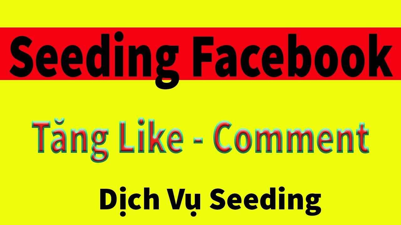 dich-vu-seeding-facebook
