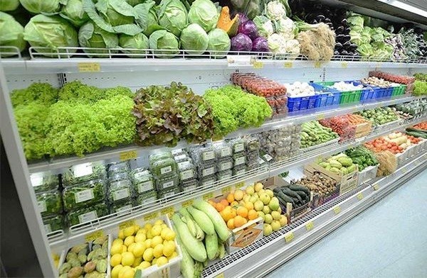 kinh-doanh-rau-sach-can-dau-tu-thiet-bị-tu-mat