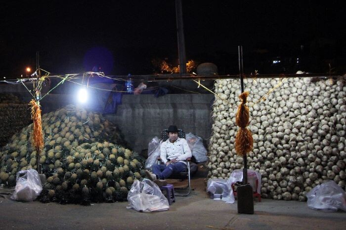 Chợ đầu mối trái cây Long Biên