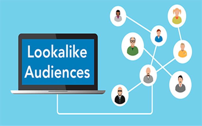 Quản lý và phân loại khách hàng dễ dàng hơn với Lookalike Auciences