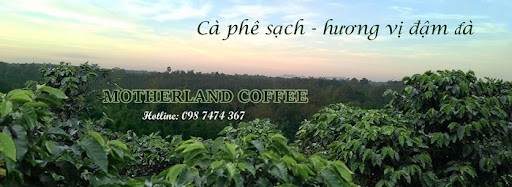 motherland-coffee-ca-phe-sach-chat-luong