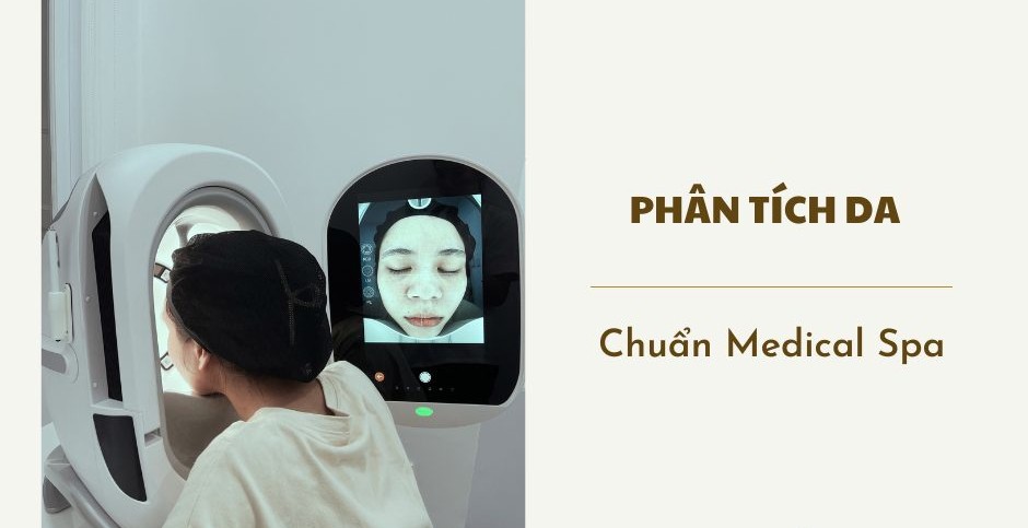 phan-tich-da