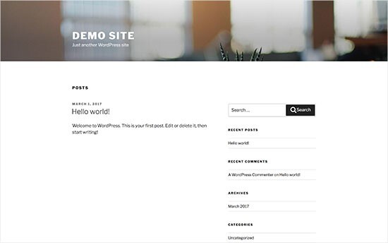 default-wordpress-theme