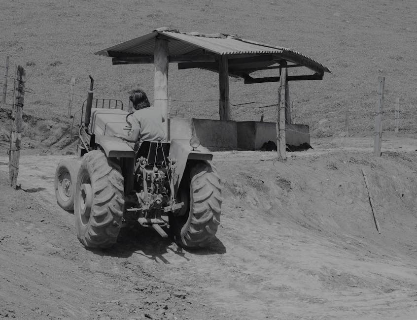 P11 Agriculture Vietgap Shrimp