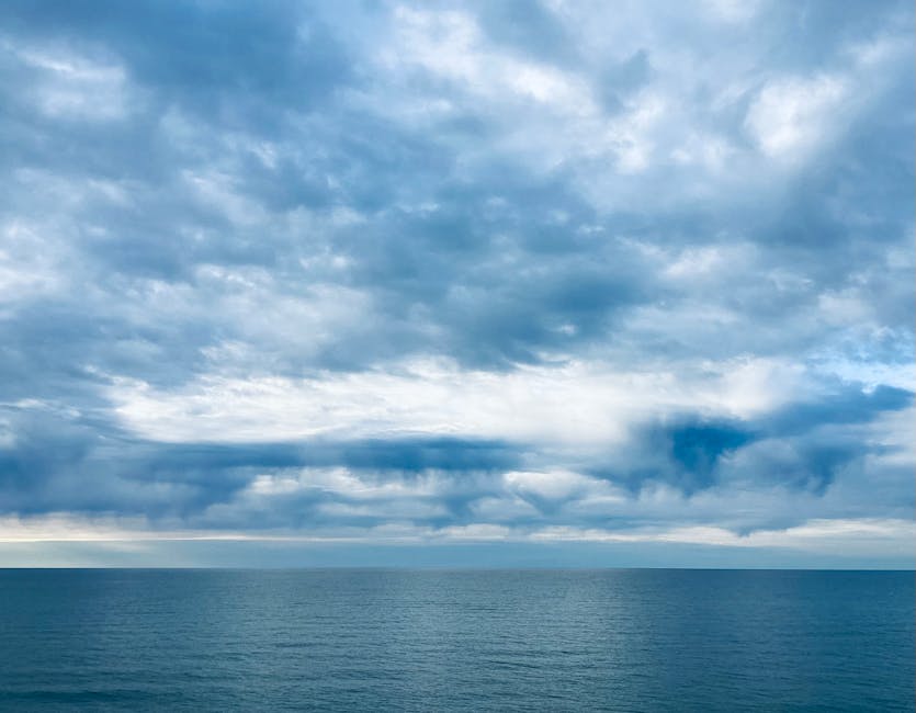 P11 Realestate Building Inspection