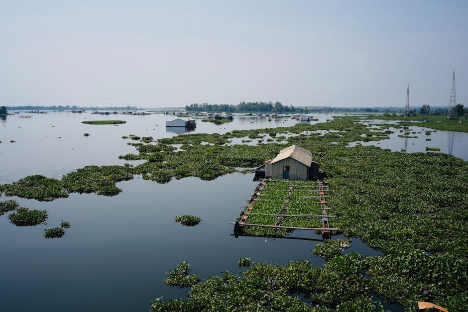 P11 Realestate Energy Audit