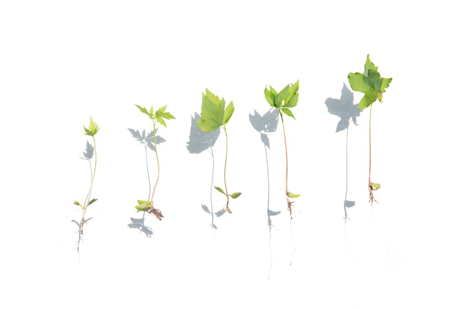 Pd Fix Cloudkitchen Daily Opening Checklist