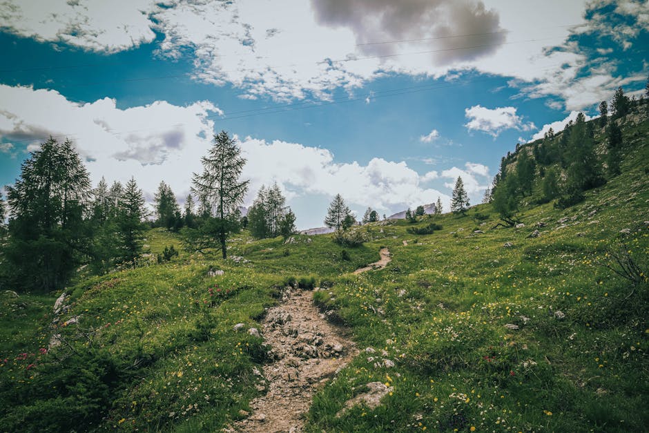 Pd Fix Trending Sop Tao Noi Dung Marketing Ai C